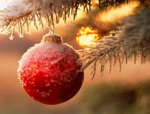 Julhälsningar / Christmas greetings 2014