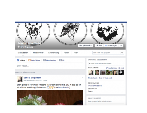 Har ni hund från oss? Ni har väl inte missat – Team Rowntree – på Facebook. Sök upp och joina oss!