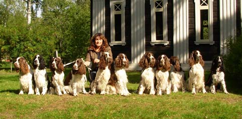 Ulla and some of her dogs in Högbo