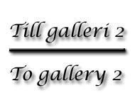 Till galleri 2/ To gallery 2
